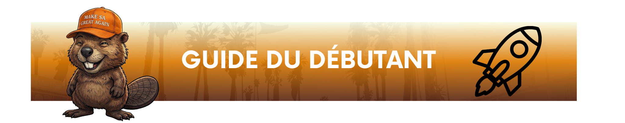 guide_du_débutant_beavers_(1).png